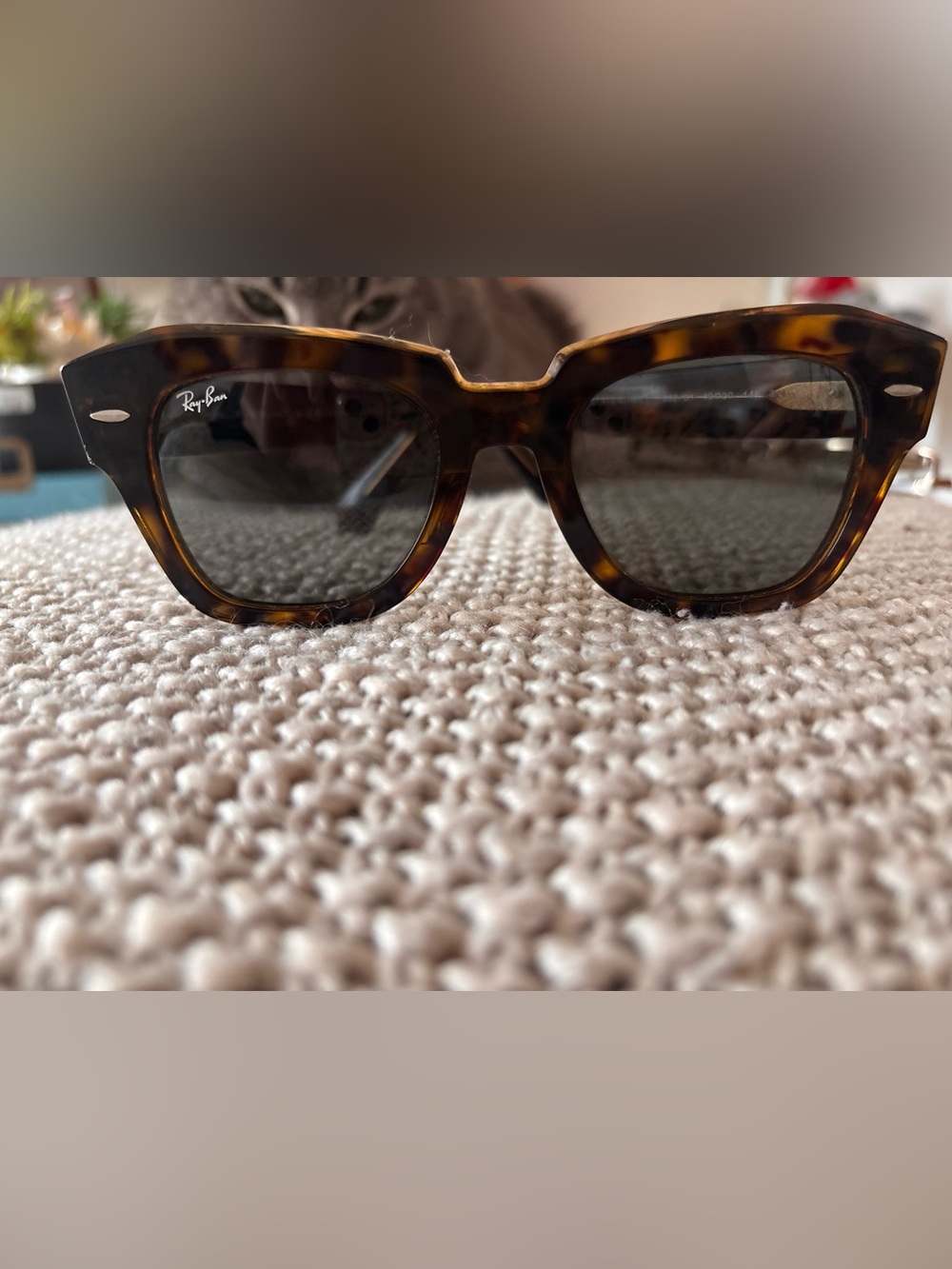 Ray-Ban State Street Tortoise Shell Sunglasses - Dark Lenses
